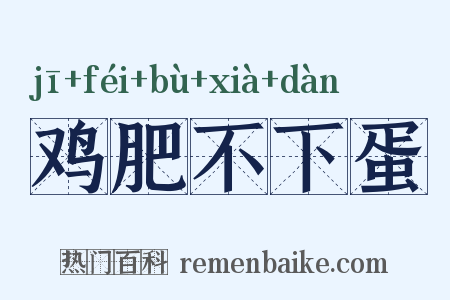 鸡肥不下蛋是什么意思的图片